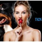 tickzoo